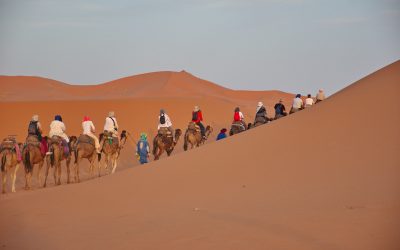 Experience Authentic Moroccan Culture During a 3 Day Marrakech to Fes Desert Tour