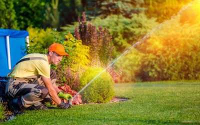 Enjoy Summer Evenings with Effective Mosquito Control Backyard Huntsville AL Strategies