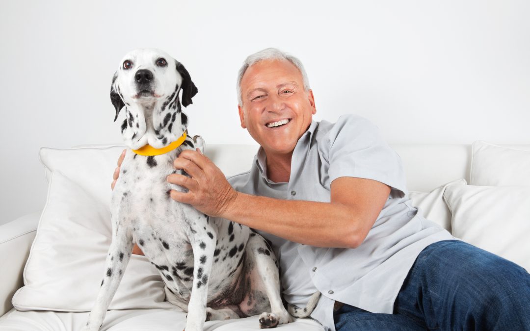 Your Guide To Stress Free Pet Care With Dog Boarding In NYC Services