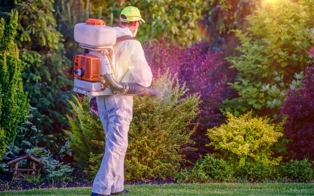 How Lawns Benefit from Effective Grub Worm Control, New Albany, IN, Solutions