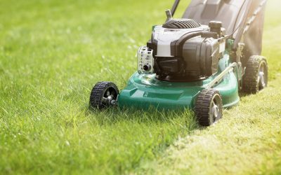 How to Transform Your Outdoor Space With Expert Lawn Care in Bartlett, TN, Tips