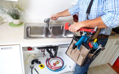 Enhance Bathroom Comfort with Innovative Upgrades from Park Ridge Plumbing Experts
