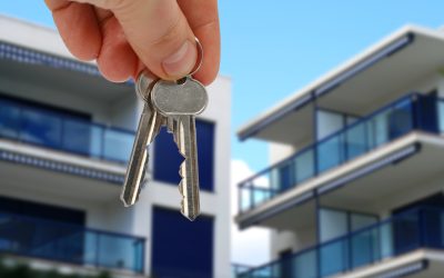 Experience Community Perks at Pet Friendly Apartments in Near Yulee FL