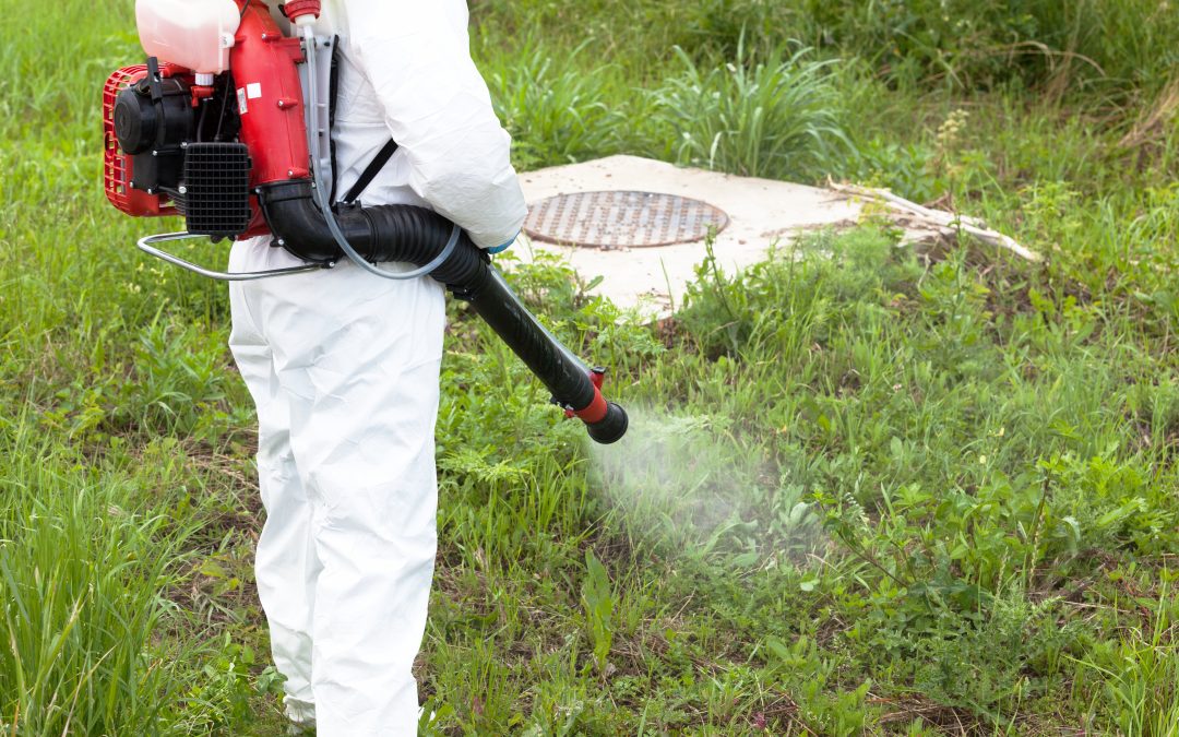Why Lawn Treatment Services in Gainesville, VA, Are Key to a Healthy Residential Lawn